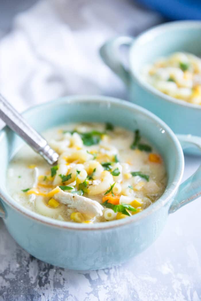 chicken stew with spoon