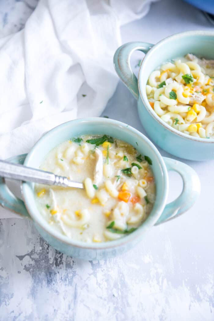 chicken stew two bowls with spoons