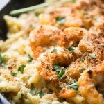 Spicy shrimp cooked with a cajun flair and baked with a creamy blend of cheeses and pasta. lemonsforlulu.com