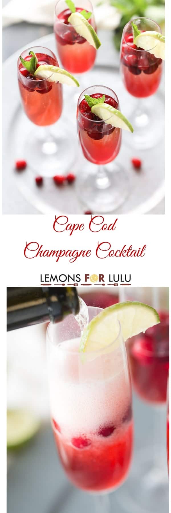  Cape Cod cocktail title image
