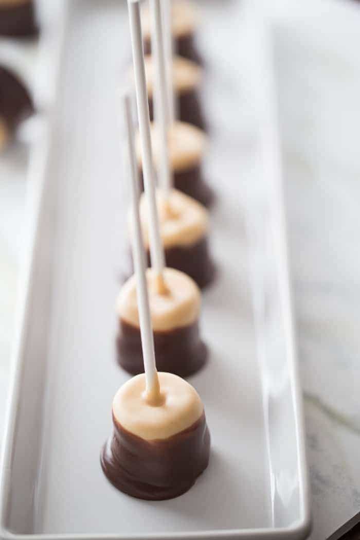 Peanut butter and chocolate covered marshmallow pops that taste just like Buckeye candies! lemonsforlulu.com