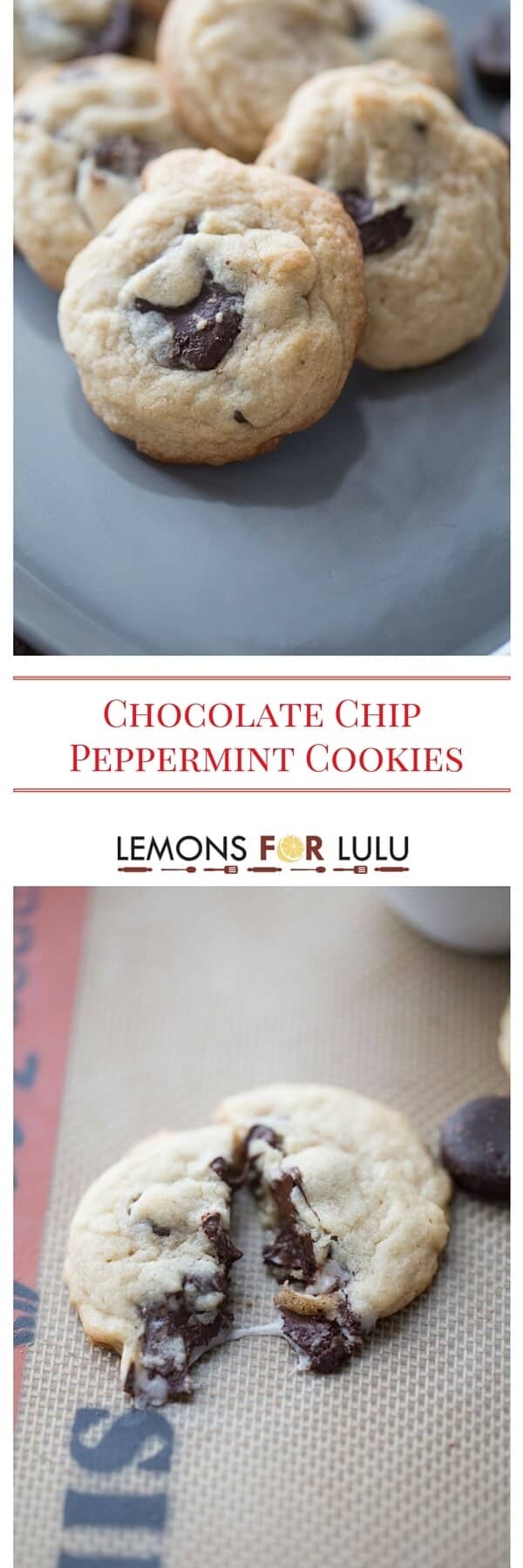 Love peppermint? Then this cookie recipe is for you! A soft cookie dough is filled with chocolate and lots of cool, creamy Peppermint Patty's!