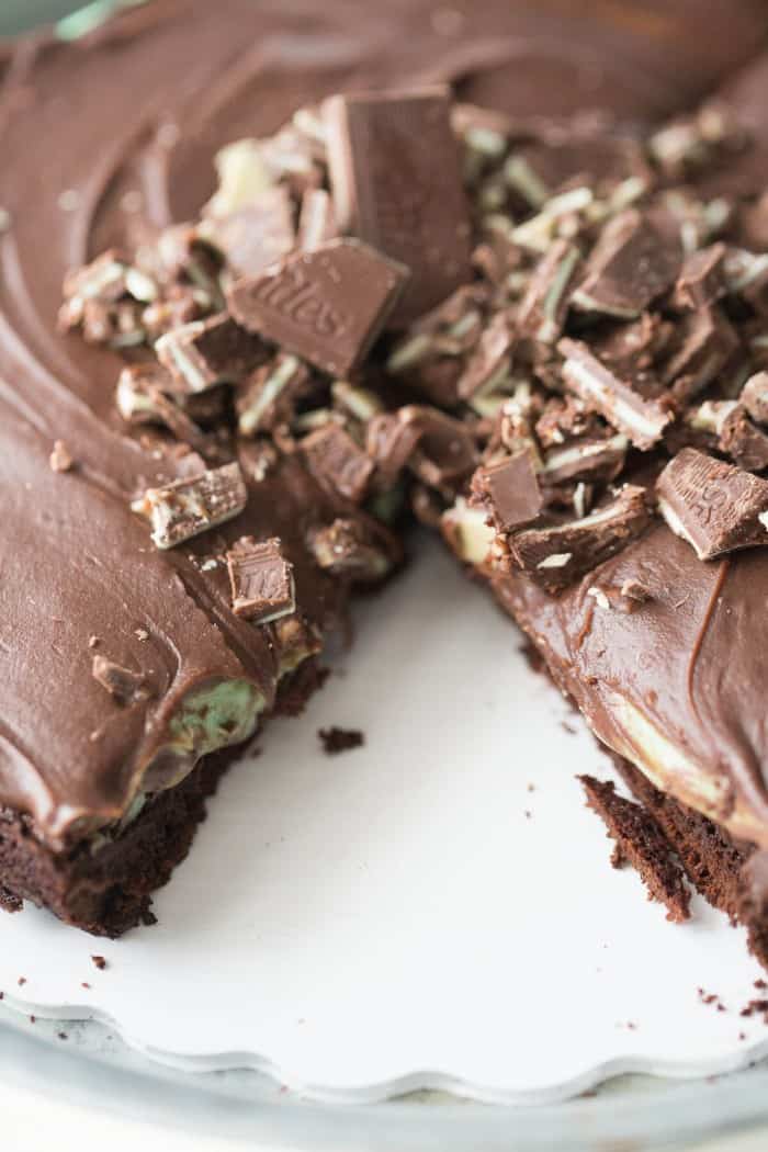 Flourless chocolate mint cake recipe is dense, rich and has the perfect amount of mint!