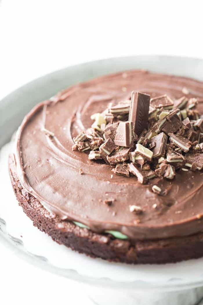 Flourless chocolate mint cake recipe is dense, rich and has the perfect amount of mint!