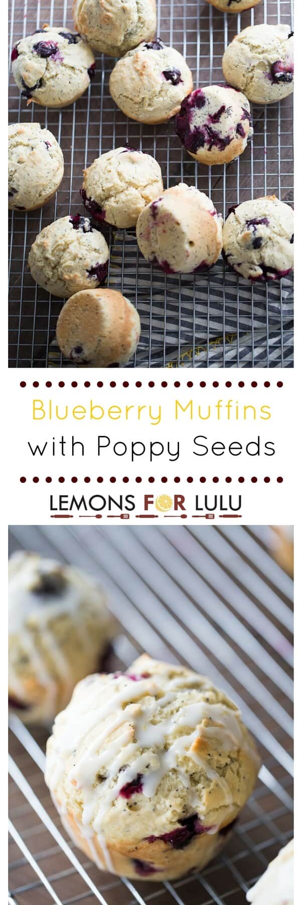 Breakfast will be the stand out meal when these blueberry muffins are served! These soft and tender muffins are speckled with poppy seeds and drizzled with a tangy lemon glaze. The combination of sweet and tart bursts through in each bite!
