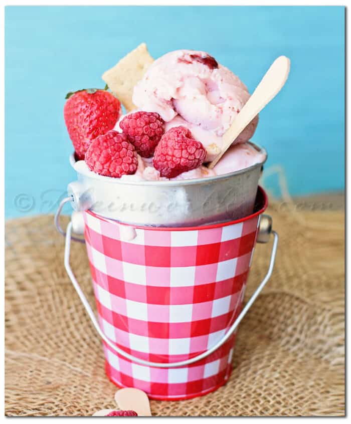 Double Berry Cheesecake Frozen Yogurt memorial day recipes