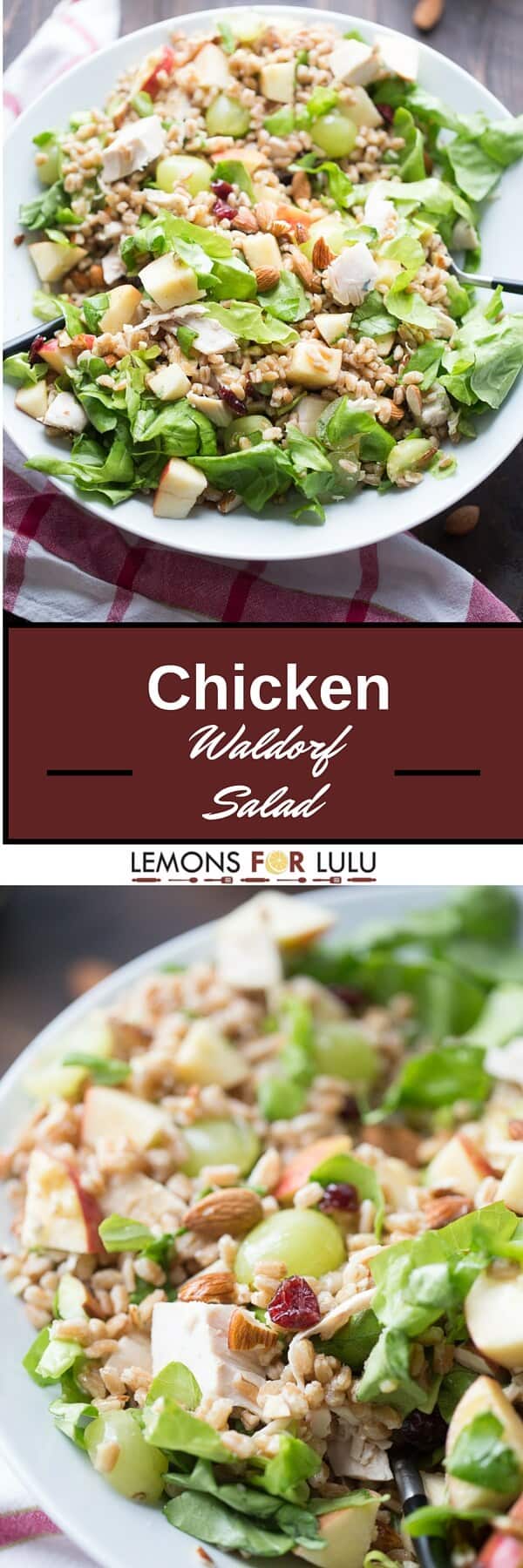 This Chicken Waldorf Salad is the ultimate in satisfaction! Farro, chicken, fruit and lettuce are tossed with a simple honey mustard vinaigrette. Waldorf salad gets a whole new look!