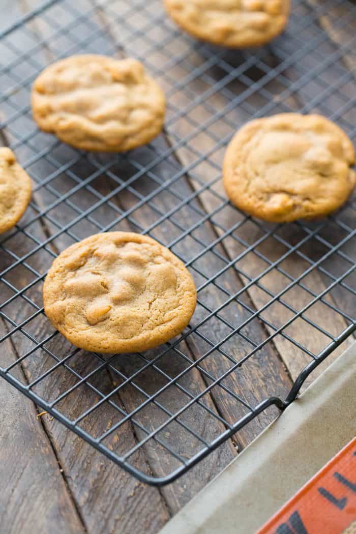 Soft gingerbread cookies with butterscotch chips! A new addition for your holiday sweets!