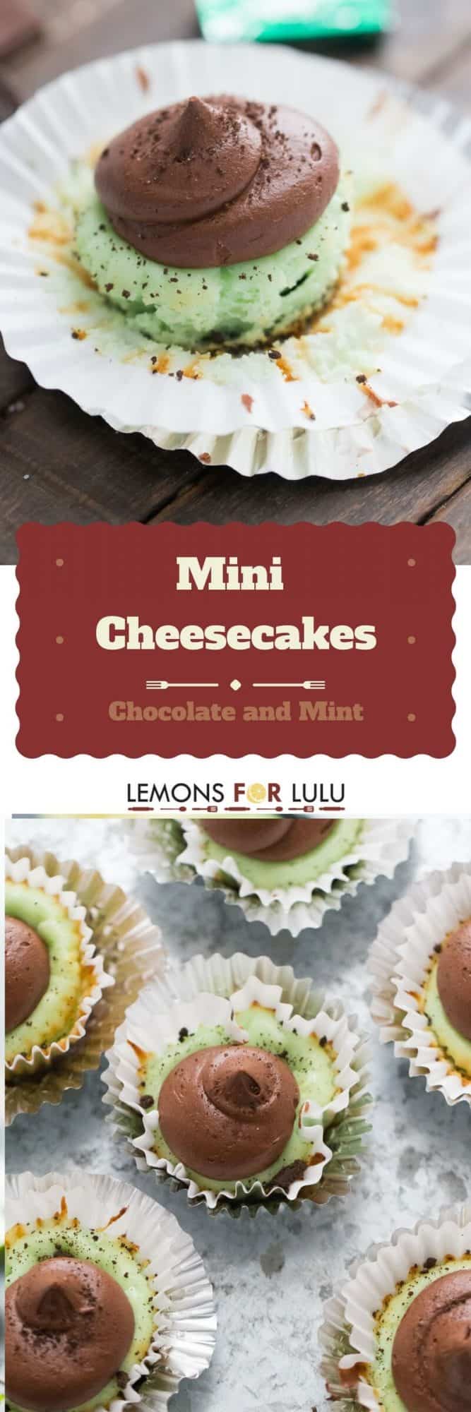 Two-bite mini cheesecakes are filled with a cool mint flavor. The centers of each cake is filled with a decadent and creamy chocolate fudge frosting!