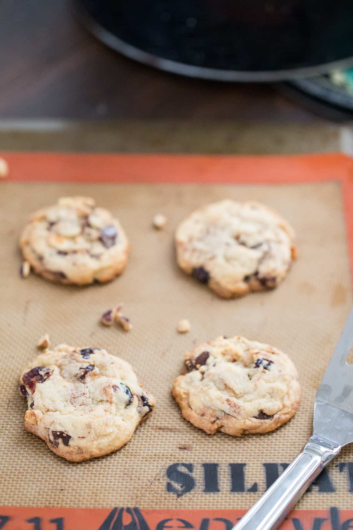 Cherry chip cookies have soft, drunken cherries blended with chocolate chunks and hazelnuts. This a true cookie experience!