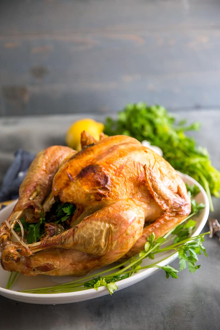 Greek Roasted Turkey Recipe- Tips On Roasting The Best Turkey ...