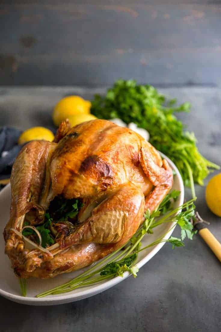 Greek Roasted Turkey Recipe- Tips On Roasting The Best Turkey