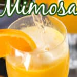 mimosa drink title