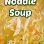 chicken noodle soup title image close up