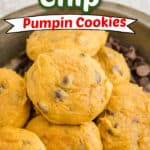 pumpkin chocolate chip cookies title photo