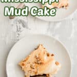 mississippi mud cake title image