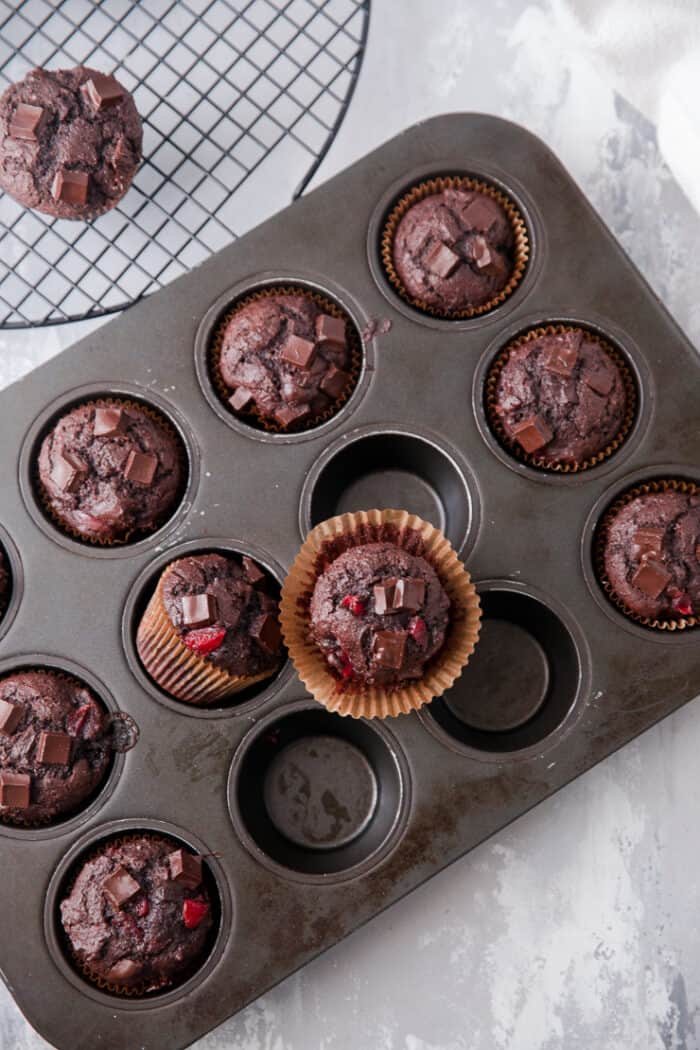 chocolate chip muffins in a muffin tin with one out