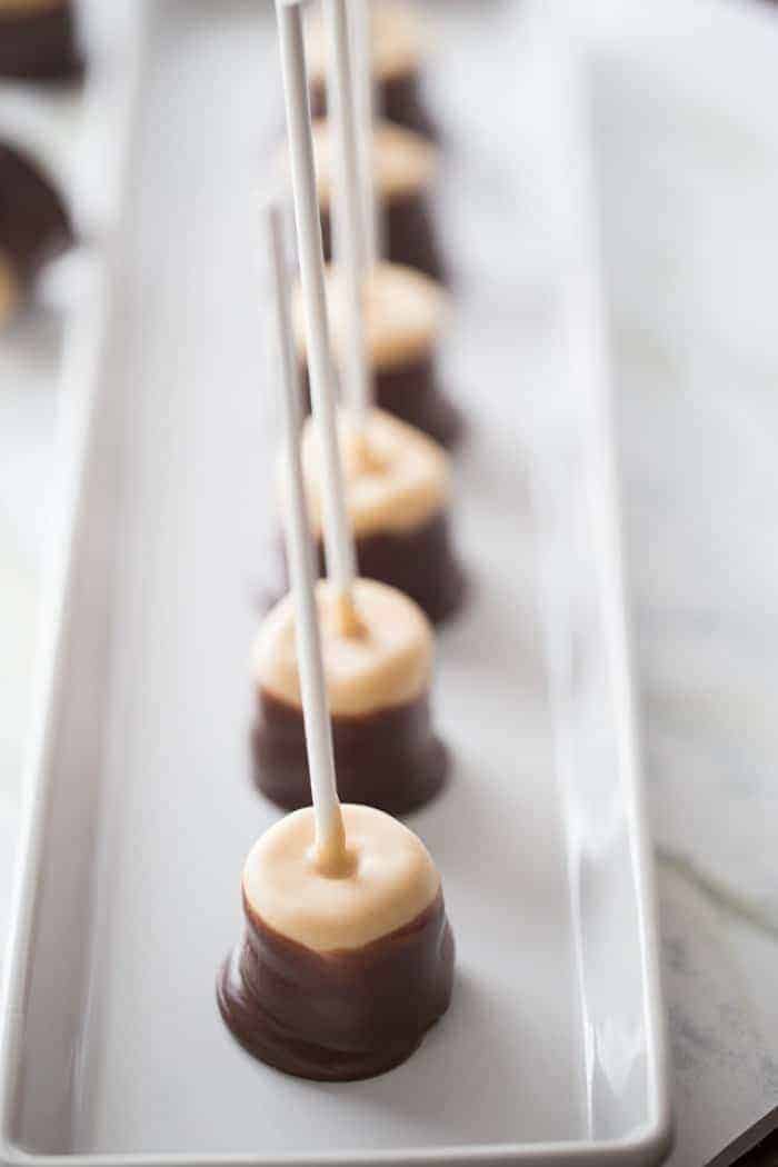 Buckeye Marshmallow Pops