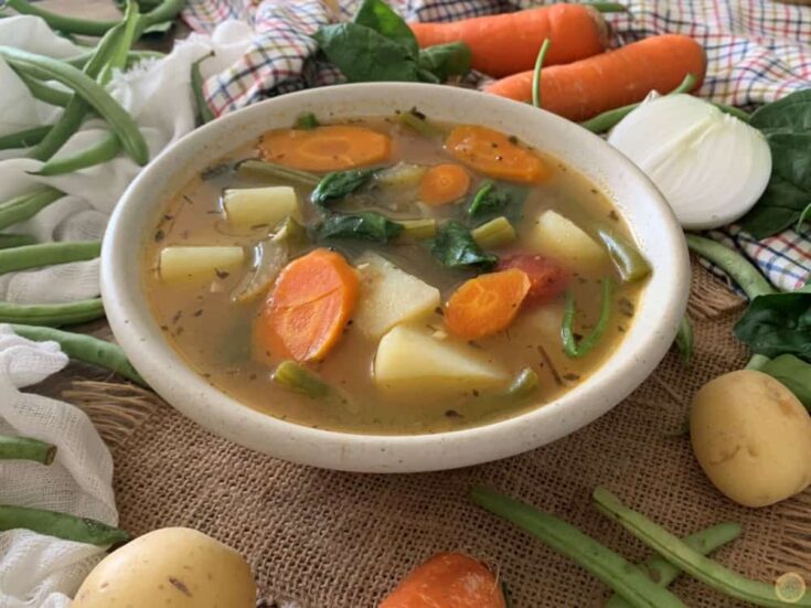 Instant Pot Vegetable Soup