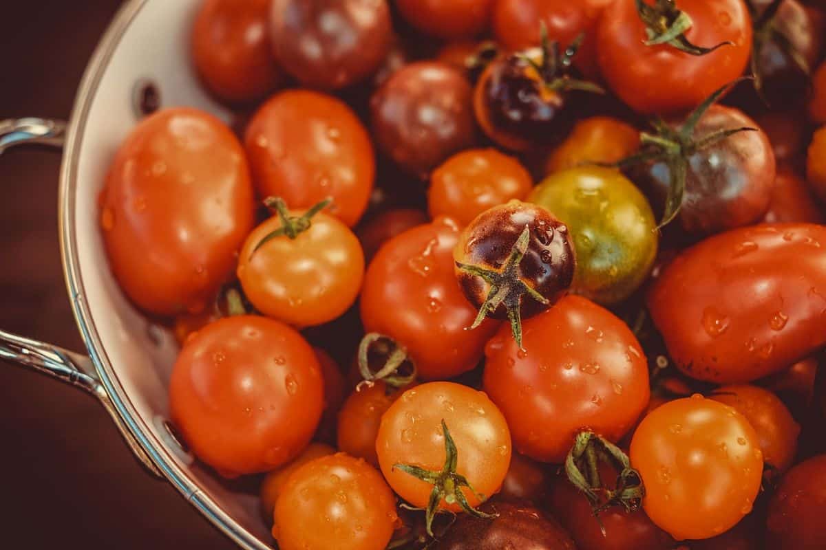 How to Prepare Tomatoes for Freezing
