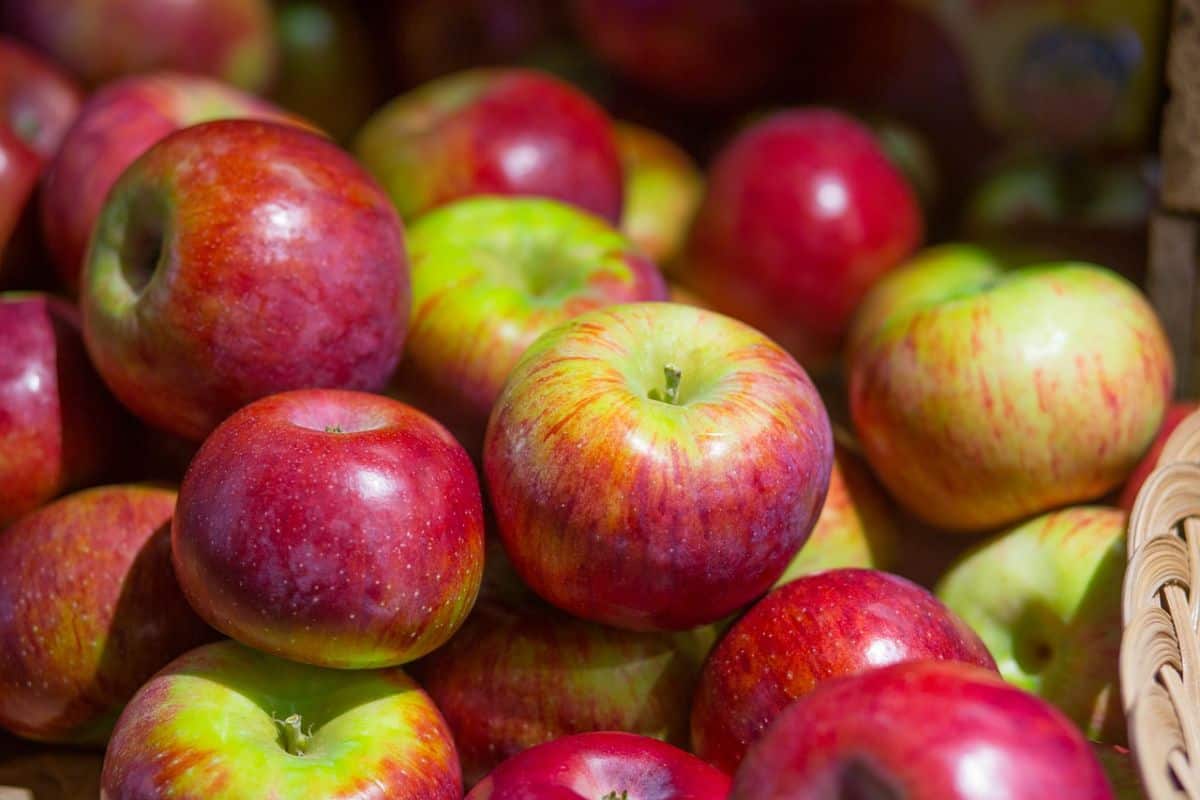 How to Freeze Apples