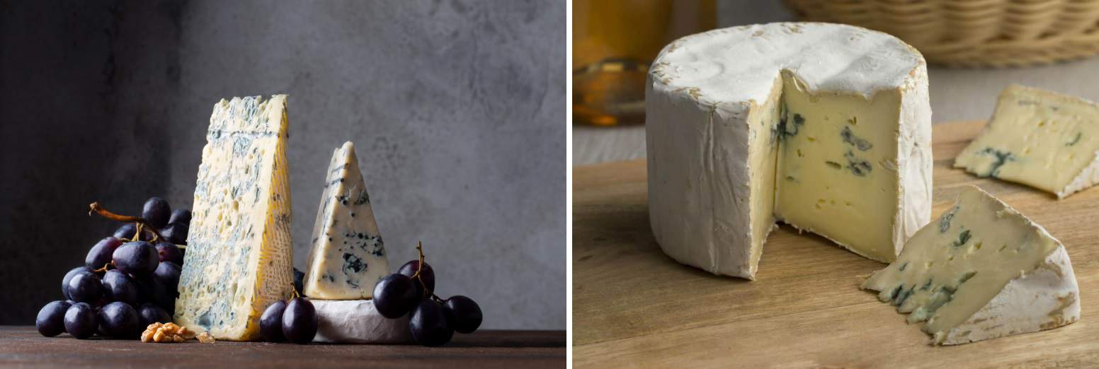 gorgonzola vs blue cheese