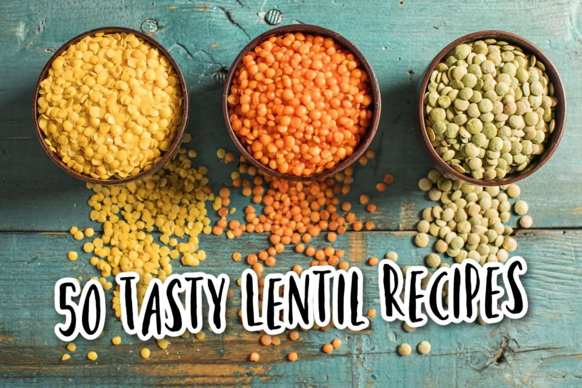 lentil recipes