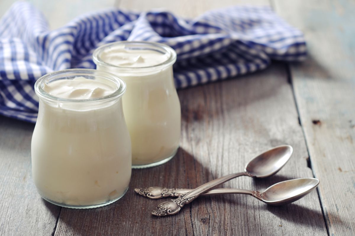 16 Best Yogurt Substitute Options