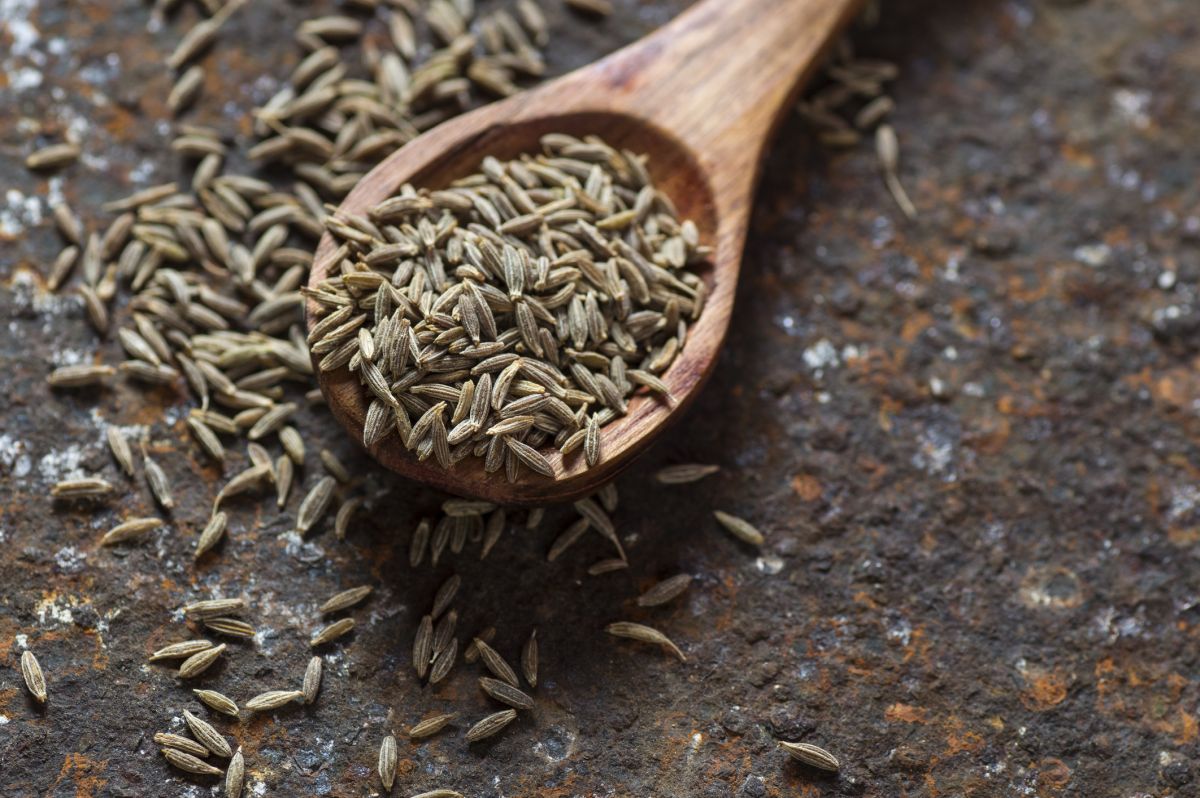 10 Best Ingredients for a Cumin Substitute
