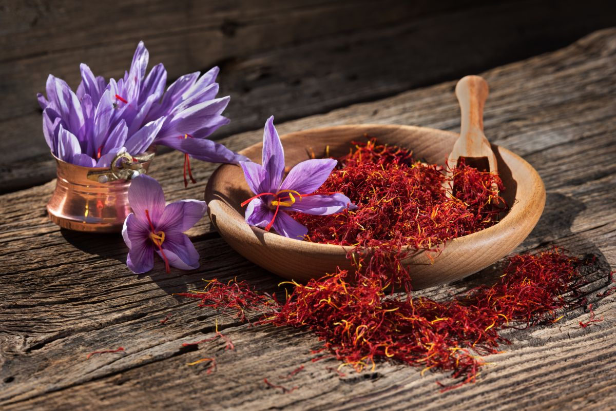10 Best Ingredients for a Saffron Substitute
