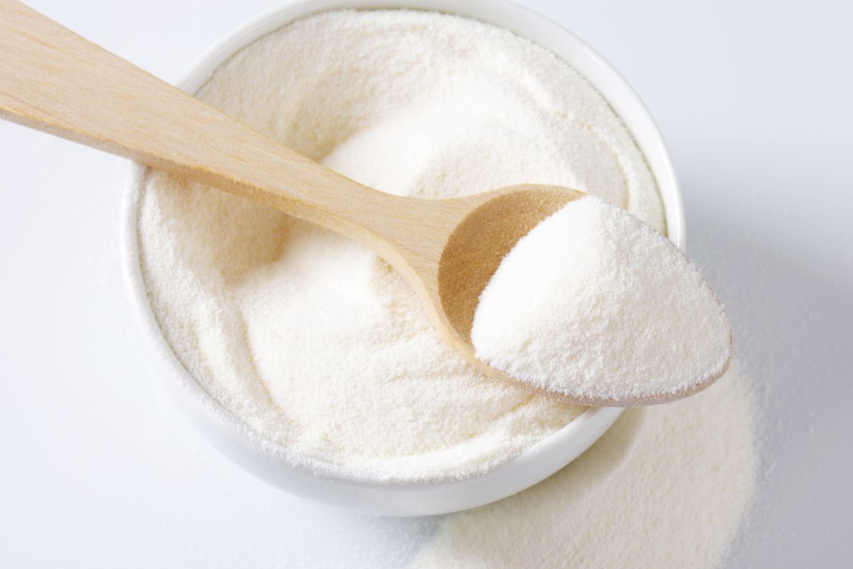 7 Best Buttermilk Powder Substitute Options