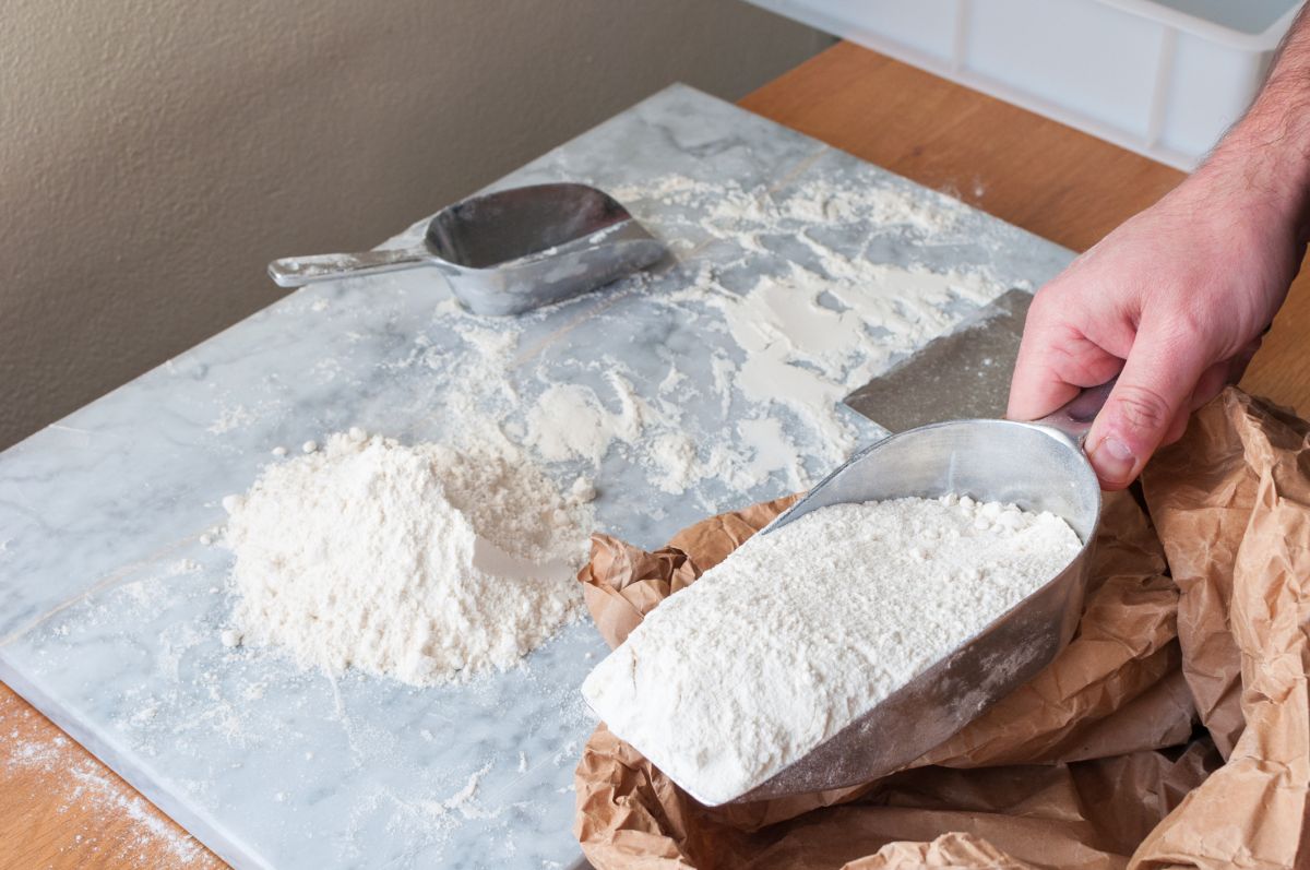 All-Purpose Flour 