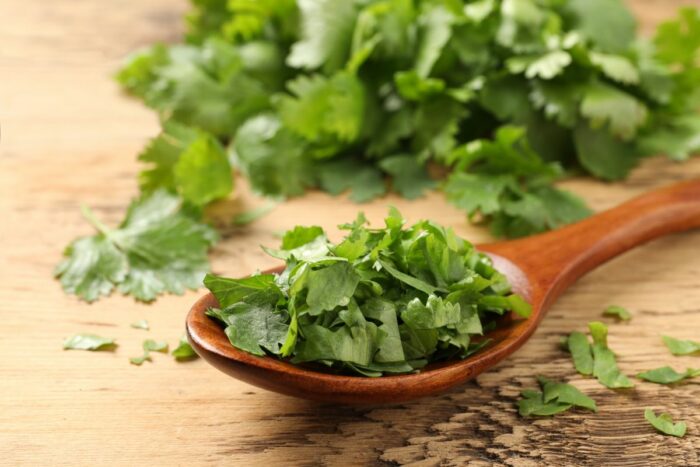 13 Best Cilantro Substitute Ingredients