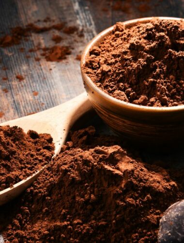 13 Perfect Cocoa Powder Substitute Options