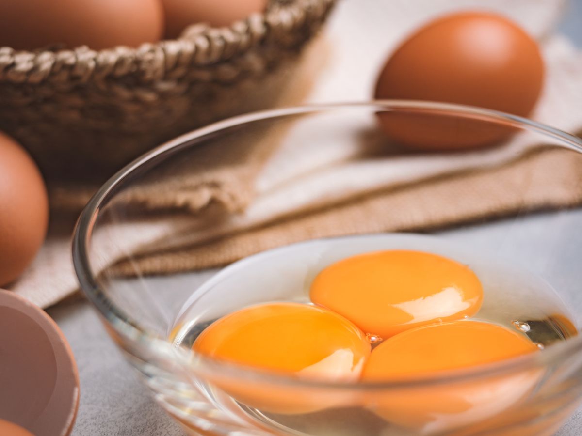 Nutritional Difference Between Brown And White Eggs