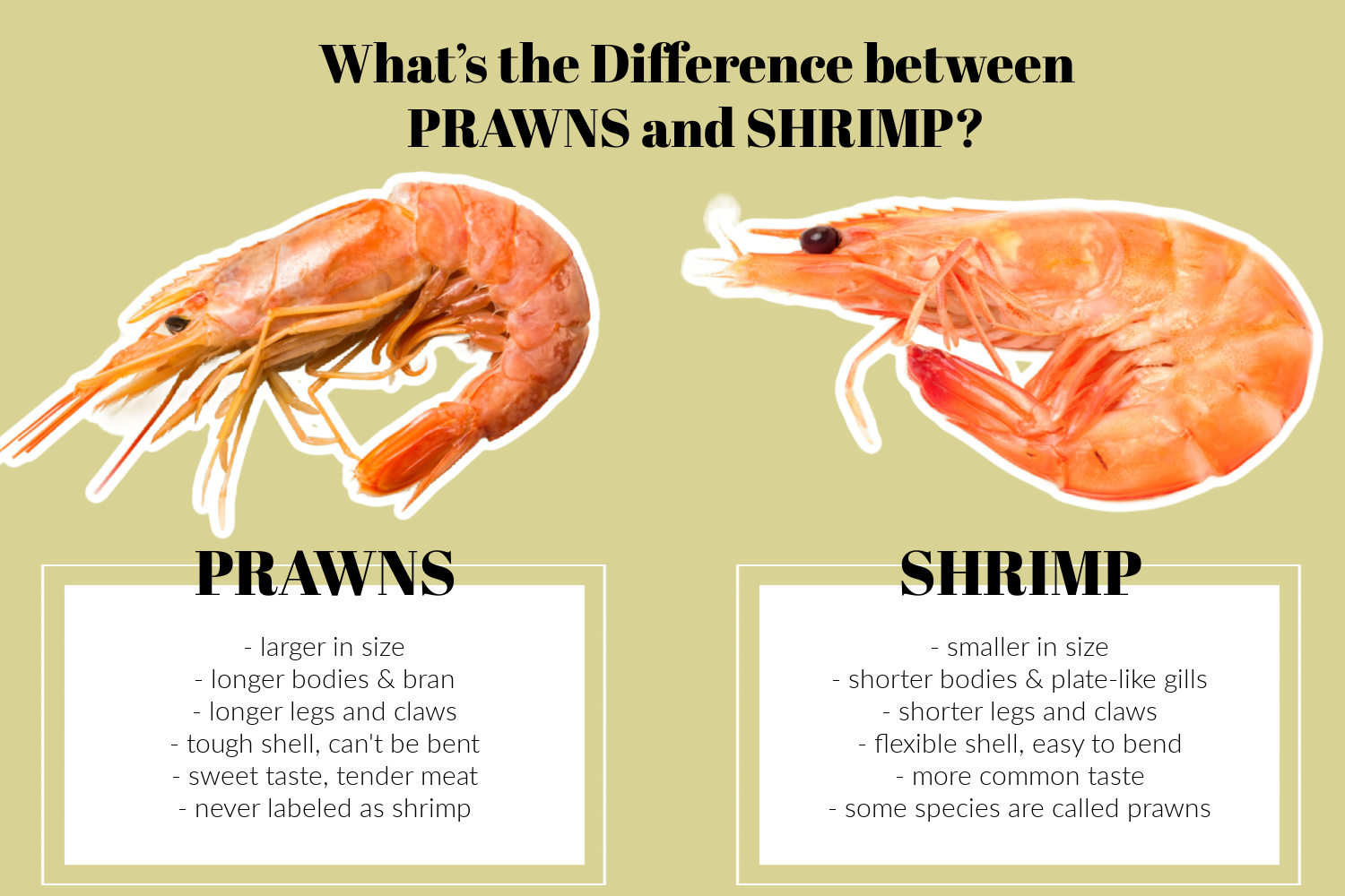 Prawns vs Shrimp