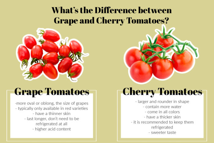 What’s the Difference between Grape and Cherry Tomatoes?