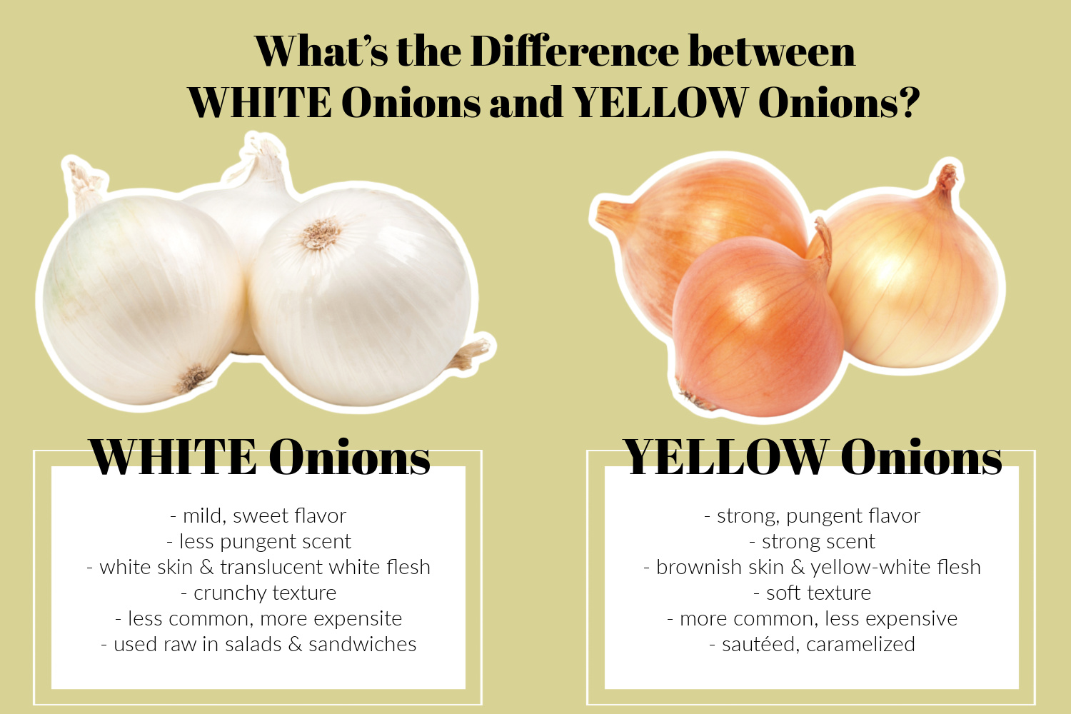 White Onions Vs. Yellow Onions