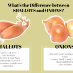 What’s the Difference Between Shallots and Onions