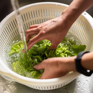Washing Lettuce Before Storing It Isn't the Mistake Leaving It Wet Is