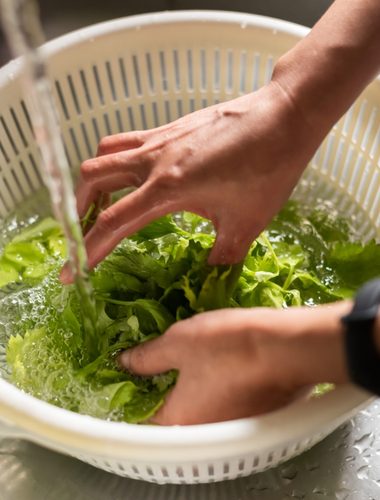 Washing Lettuce Before Storing It Isn't the Mistake Leaving It Wet Is
