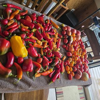 Your Fall Harvest Can Last Into Winter if You Store Each Vegetable in the Right Spot